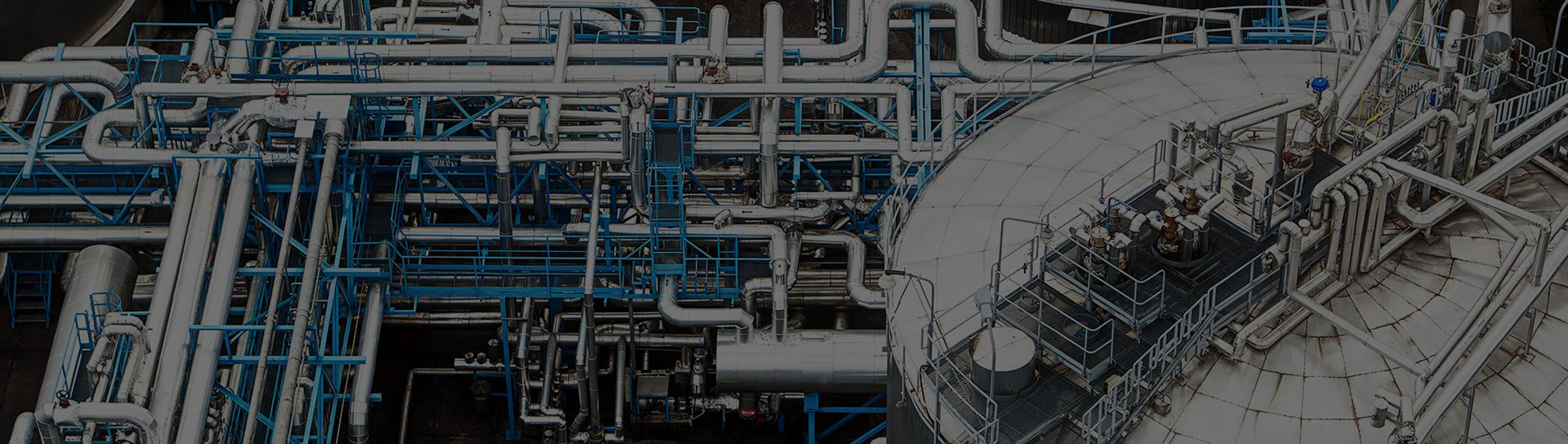 Chào mừng quý khách hàng